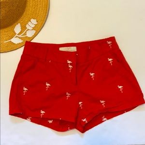 J Crew Factory 00 Chino Shorts